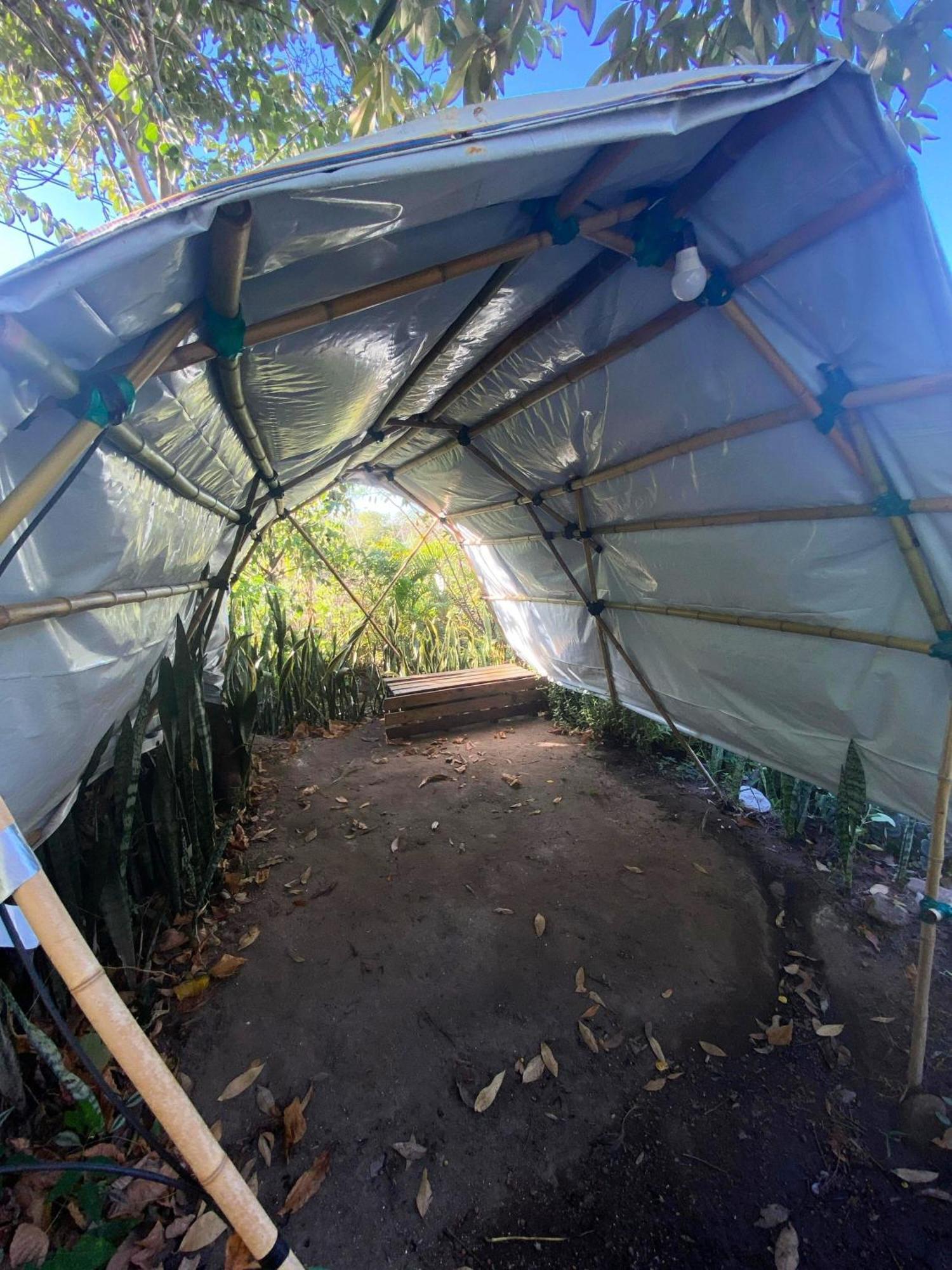Camping Filhos Da Floresta - Vale Do Capao Zewnętrze zdjęcie